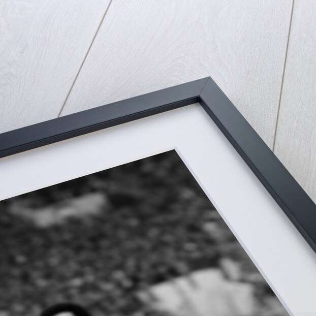 Liverpool v Manchester United, 1983 by Cook / Olley