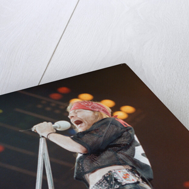 Guns N' Roses on stage, 1992 by Nigel Wright