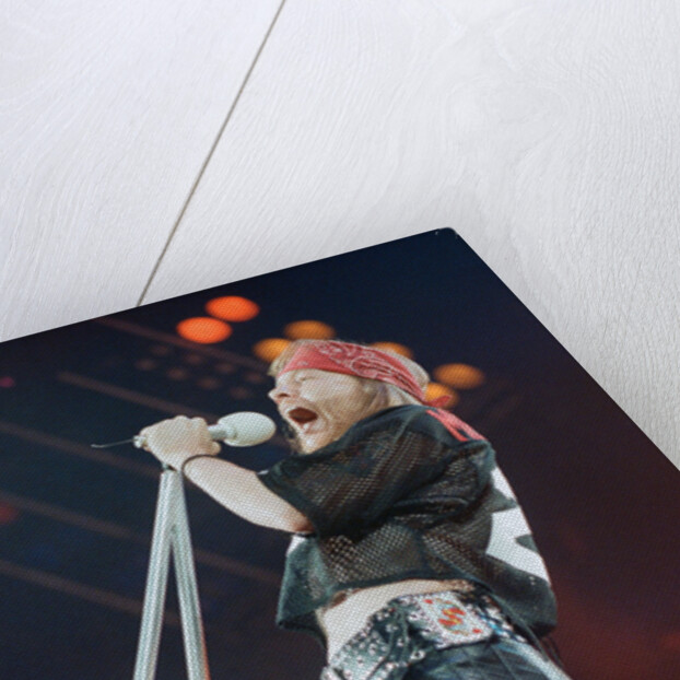 Guns N' Roses on stage, 1992 by Nigel Wright