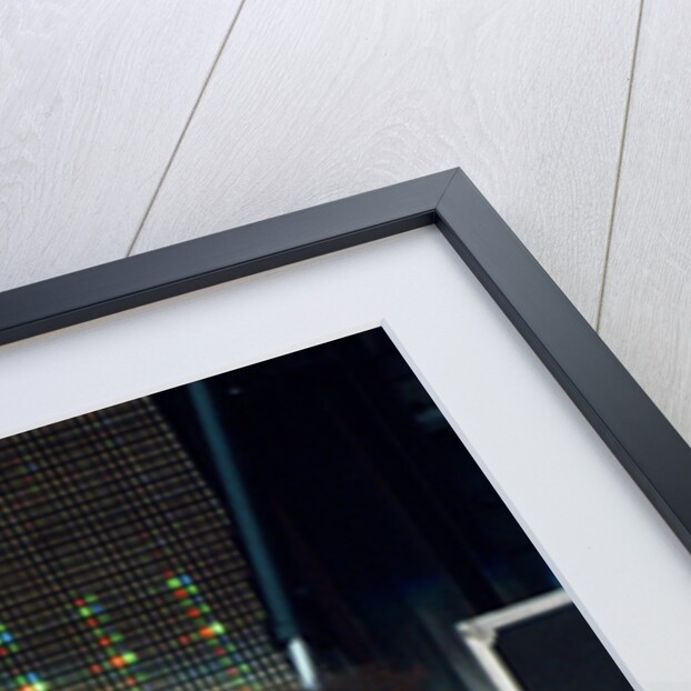 Guns N' Roses on stage, 1992 by Staff