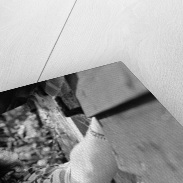 Phil Collins by Monks