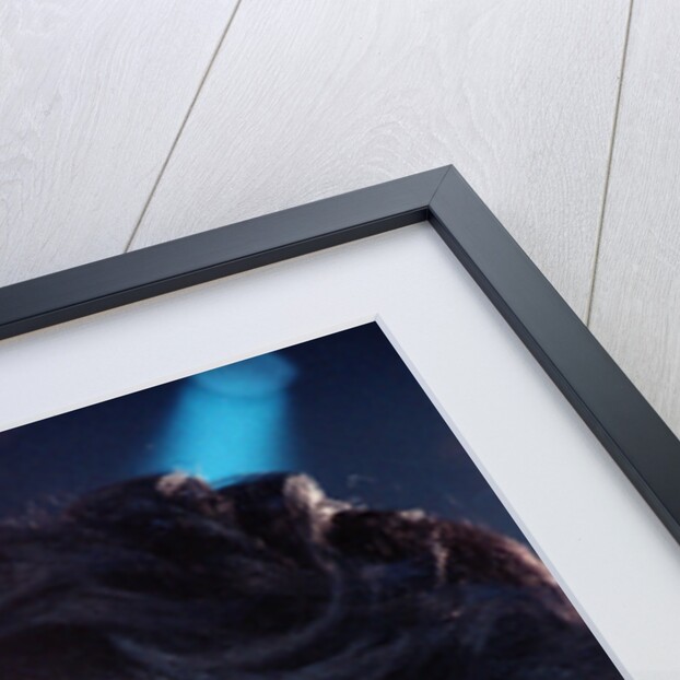 Prince at the NEC by Patrick Neame