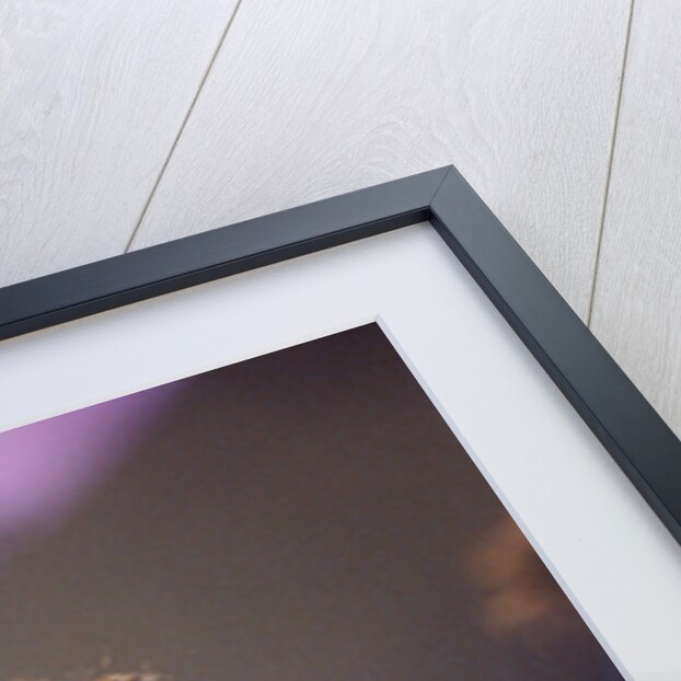 Prince performing 1992 by James