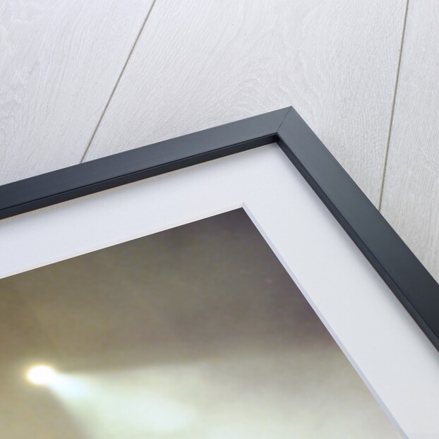 Prince performing 1993 by Chris Grieve