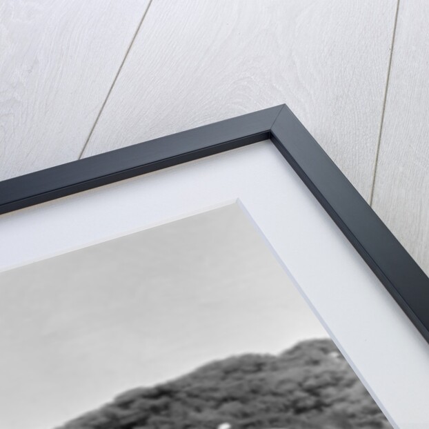 Ryder Cup 1965 by Ron Burton