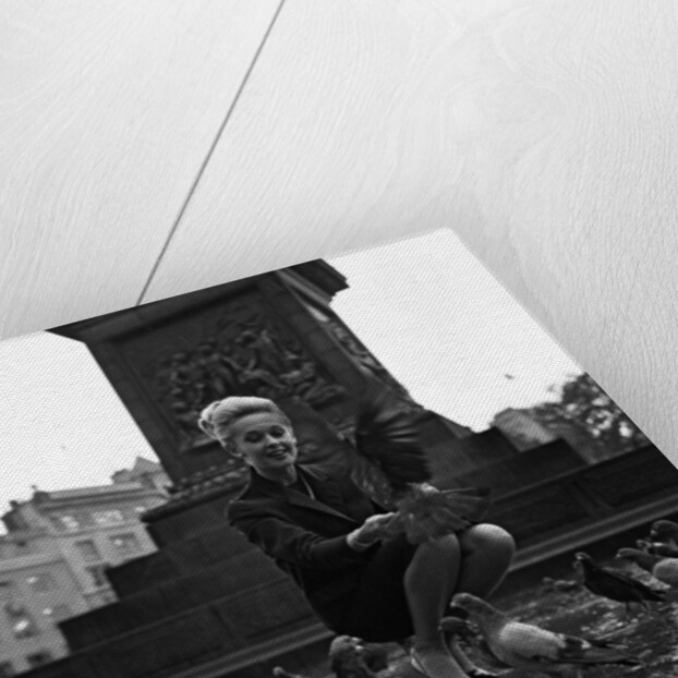 Tippi Hedren by Staff