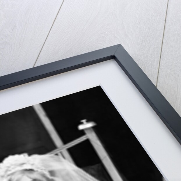 The Bed Sitting Room by Ron Burton