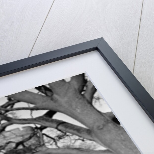 Bodiam Castle, East Sussex, 1966. by Greaves