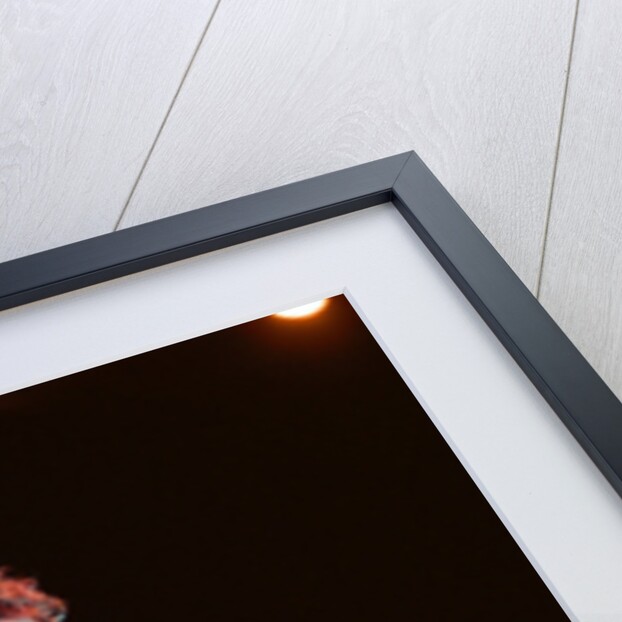 Metallica, 1992 by Steve Murphy