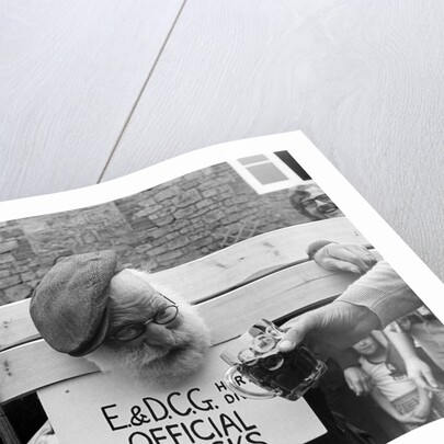 Pilloried, Alfie the pumpkin prowler! by Daily Mirror