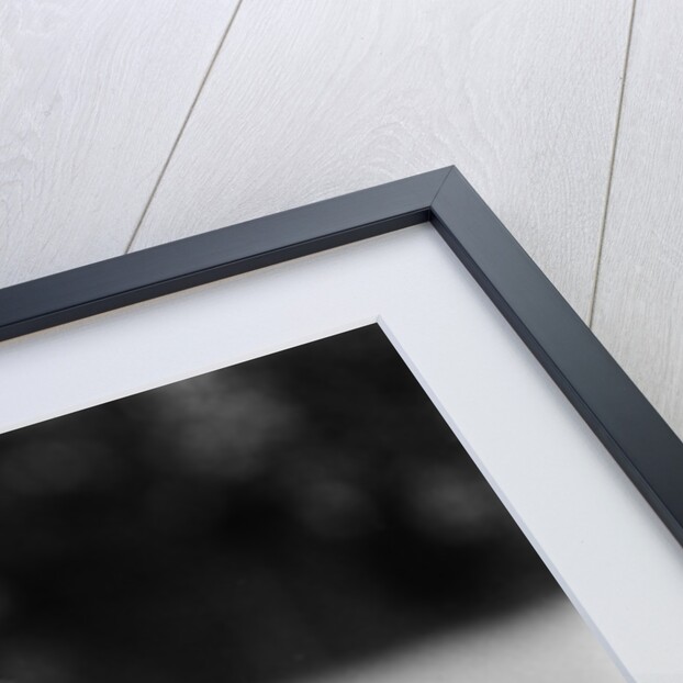 A man alone with his thoughts by Daily Mirror