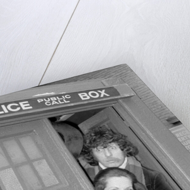 Mary Tamm by Anonymous