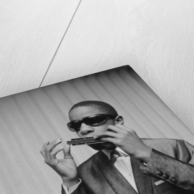 Stevie Wonder by Charlie Ley