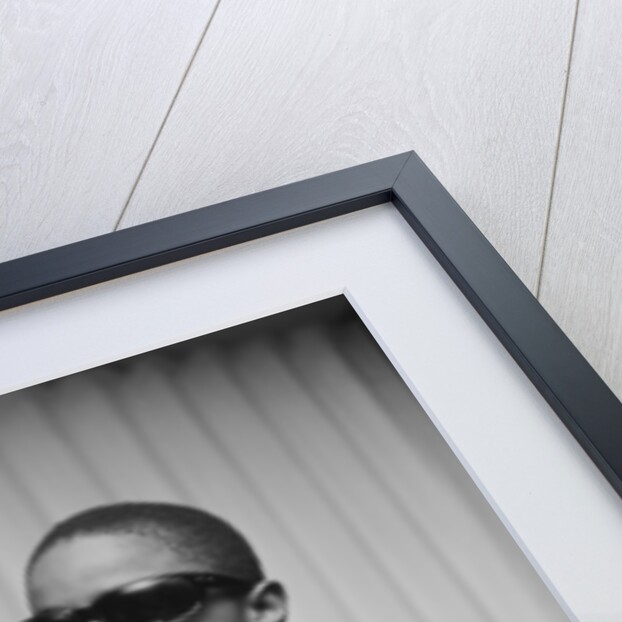 Stevie Wonder by Charlie Ley