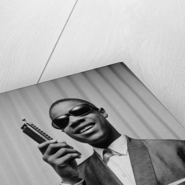 Stevie Wonder by Charlie Ley