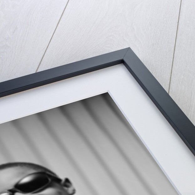 Stevie Wonder by Charlie Ley