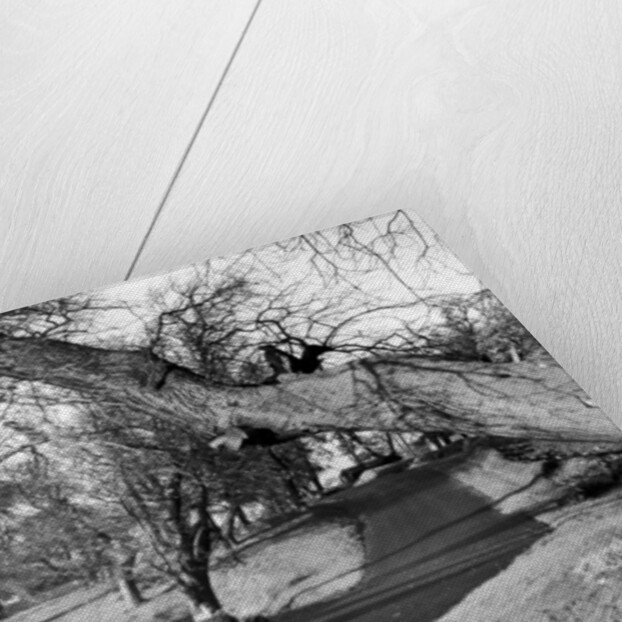 Motor racing at Oulton Park by Staff