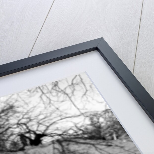 Motor racing at Oulton Park by Staff