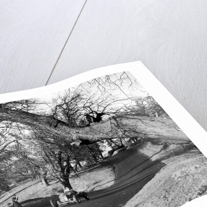 Motor racing at Oulton Park by Staff