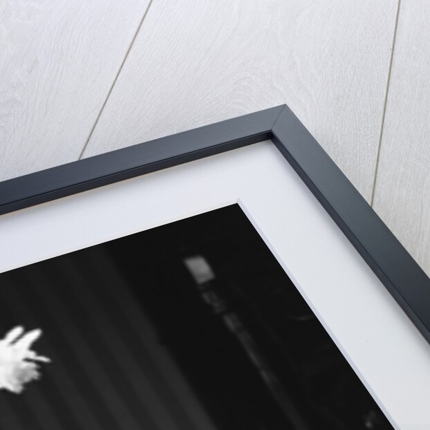 Two pups looking at a flower in a vase by Howard Walker