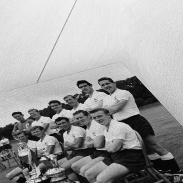 The double winning Tottenham Hotspur Football Club by Blandford