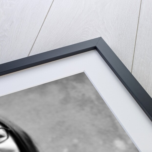 Nana Mouskouri by Eric Harlow