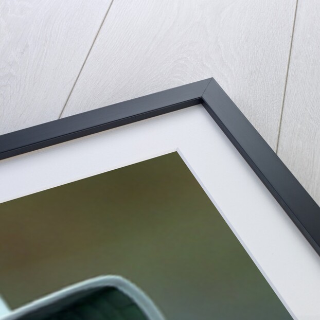 Cricket World Cup 1992 - Australia: Ian Botham by Anonymous