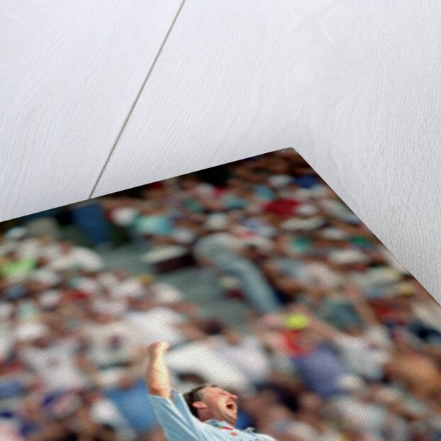 Cricket World Cup 1992 - Australia: Australia v. England at Sydney by Anonymous