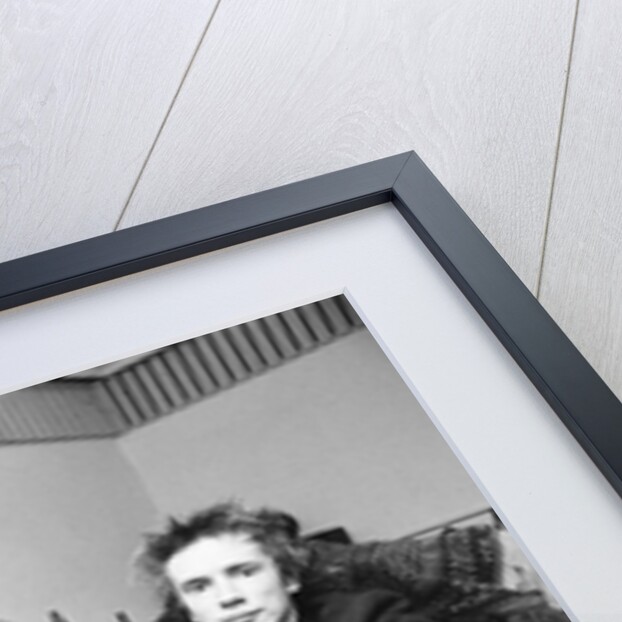 The Sex Pistols by Peter Stone