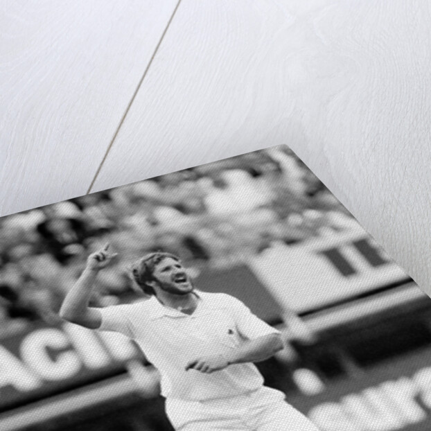 The Ashes. England v Australia 4th Test match by Anonymous