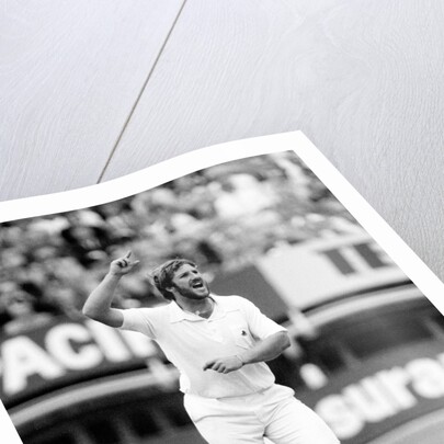 The Ashes. England v Australia 4th Test match by Anonymous