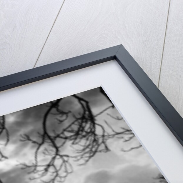 Loch Ard by Daily Record