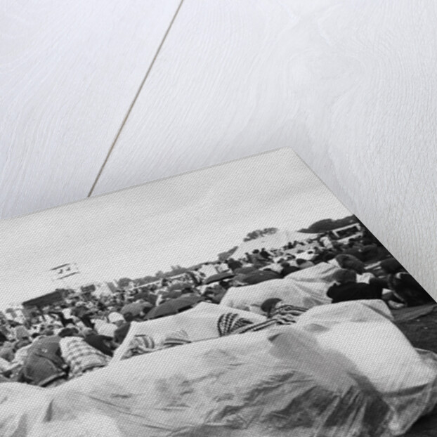 Reading Pop Festival by Anonymous