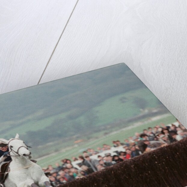 Desert Orchid by Dale Cherry