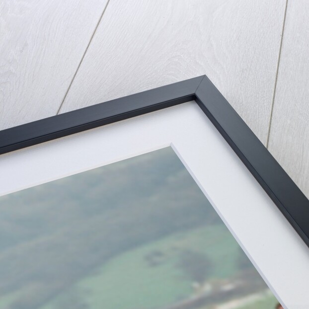 Desert Orchid by Dale Cherry