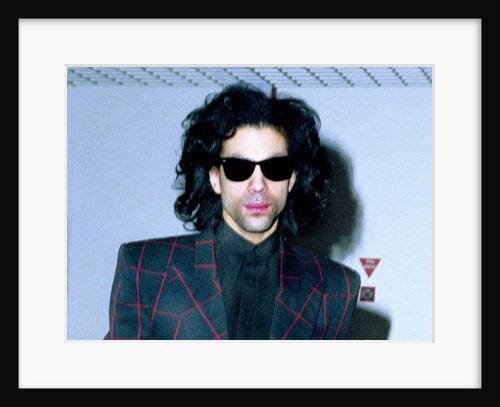 Prince Pop Star by Nicholson