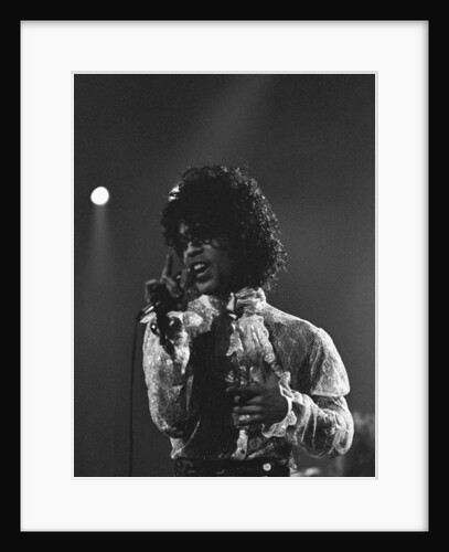 Prince Pop Star by Mike Maloney