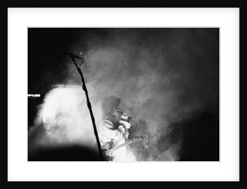 Prince Pop Star by Mike Maloney