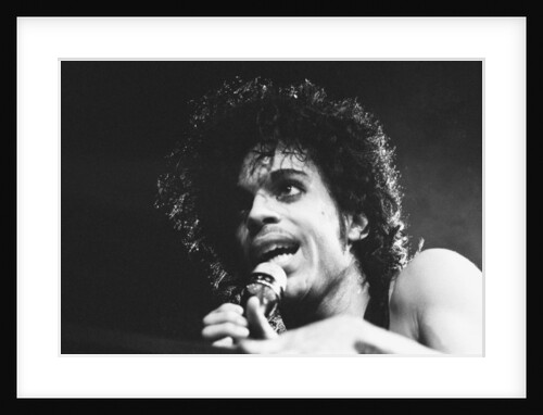 Prince Pop Star by Mike Maloney