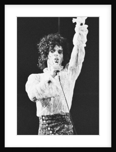 Prince Pop Star by Mike Maloney