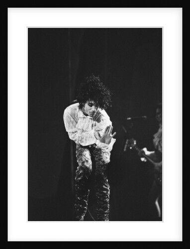 Prince Pop Star by Mike Maloney