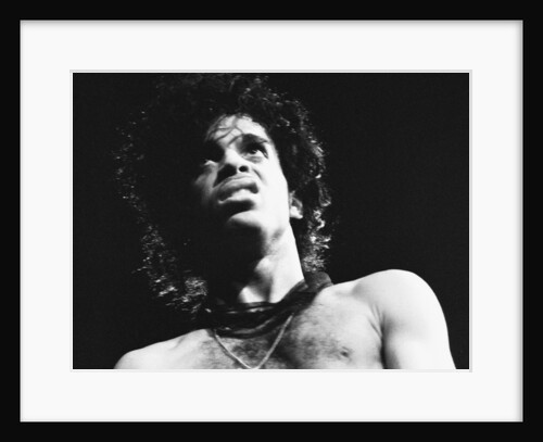 Prince Pop Star by Mike Maloney