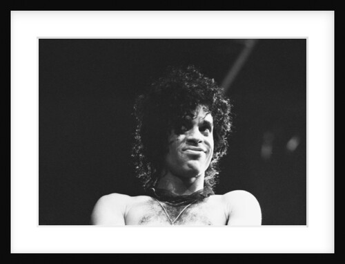 Prince Pop Star by Mike Maloney