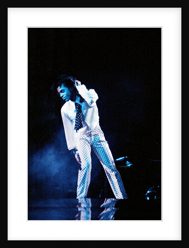 Prince Pop Star by Roger Allen