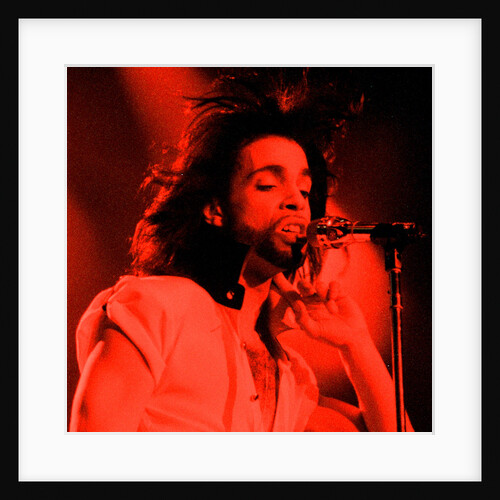 Prince Pop Star by Reid