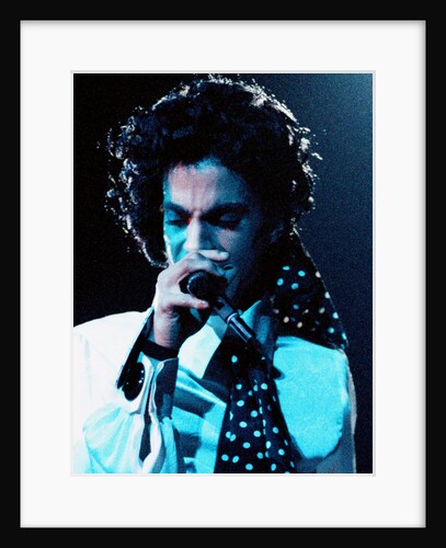 Prince Pop Star by Roger Allen