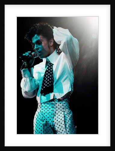 Prince Pop Star by Roger Allen