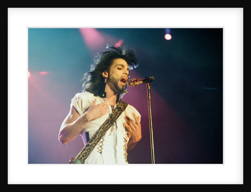 Prince Pop Star by Reid