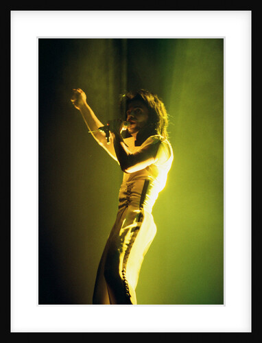 Prince Pop Star by Reid