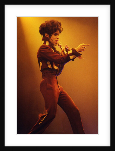 Prince Pop Star by Richard Nelmes
